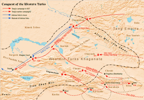Tang dynasty military campaigns against the Western Turks