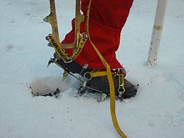 Crampon for flexible boot with straps