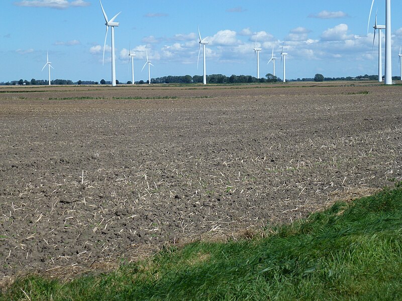 File:Cultivated rape seed stubble field and distant windfarm - geograph.org.uk - 3108370.jpg