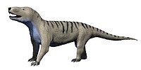 Cynognathus NT small.jpg