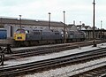 D1048 and D1041 in Newton Abbot yard.jpg
