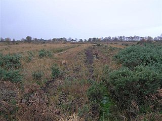 <span class="mw-page-title-main">Derryloughan, County Tyrone</span> Townland in Northern Ireland, United Kingdom