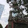 Sino-Ocean Taikoo Li Chengdu - Wikipedia