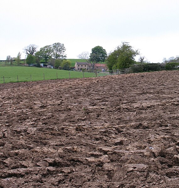 File:Difficult terrain, North Pasture - geograph.org.uk - 2933838.jpg