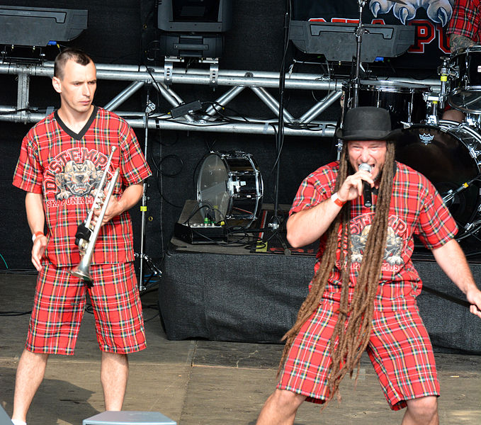 File:Distemper – Wilwarin Festival 2014 06.jpg