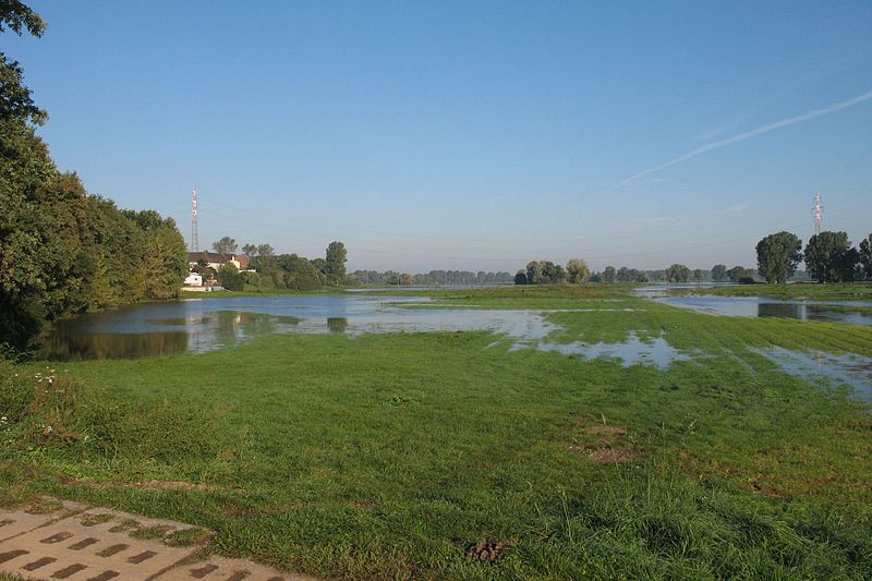 File:Dommitzsch Woerblitz Elbe.jpg