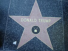 A red five-pointed star surrounded by a brass bezel set in black sidewalk. The words "DONALD TRUMP", and the symbol of a television with antennae, are set into the star in bronze.