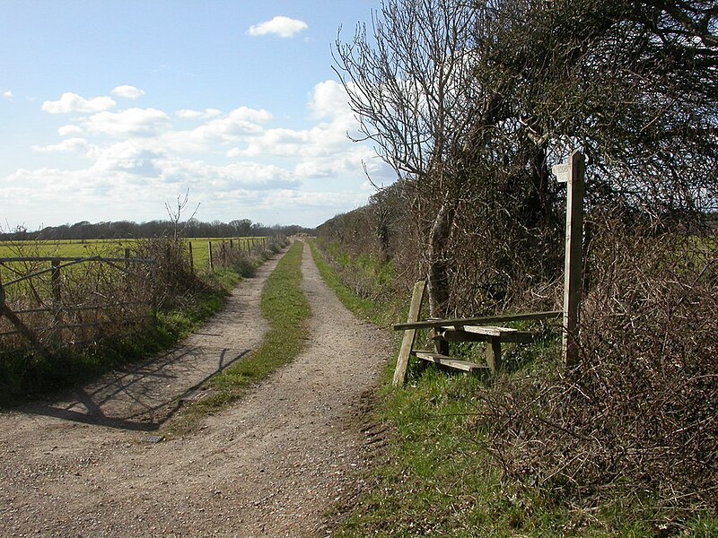 File:Downton, footpath - geograph.org.uk - 1753098.jpg