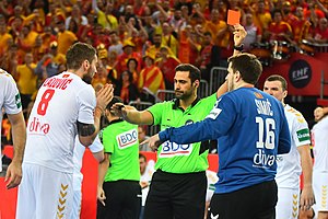 Ricardo Fonseca: Portugiesischer Handballschiedsrichter