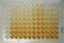 A sandwich ELISA run on a microtitre plate ELISA.jpg