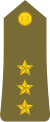 Esercito egiziano - OF02.svg