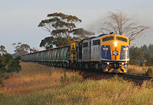 CFCLA's S311 leads a mix of hired and El Zorro locomotives on a broad gauge grain service near Meredith in January 2008 El-zorro-broad-gauge grain.jpg