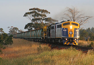 S311 leading CFCLA grain hoppers on an El Zorro operated train near Meredith in January 2008 El-zorro-broad-gauge grain.jpg