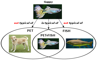A guppy is not a prototype pet, nor a prototype fish, but it is a prototype pet-fish. This challenges the idea that prototypes are created from their constituent parts. Emergence of Meaning in Context Theory.svg
