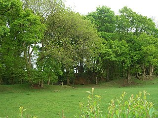 Castle Rings, Wiltshire hillfort in Wiltshire