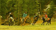 Fayl:Fairy_meadows_polo_match.jpg