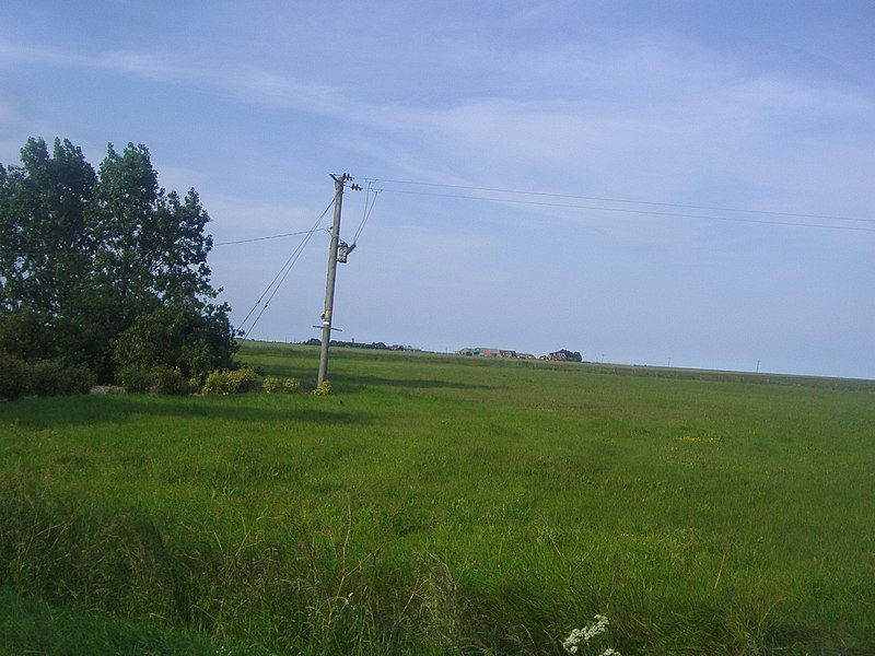 File:Field by Montsale Cottage - geograph.org.uk - 3004366.jpg