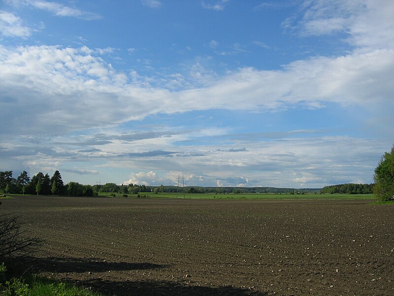 File:Fields in Mietoinen.jpg