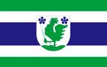 Bandeira de Põlva.