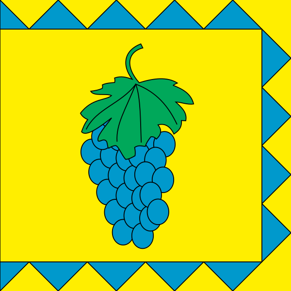 File:Flag of Vynnyky, Lviv Oblast.svg