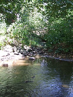 Forbach coming from behind, north, flows on the left into the USA, which flows from west to east