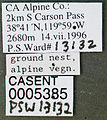 Formica dakotensis casent0005385 label 1.jpg