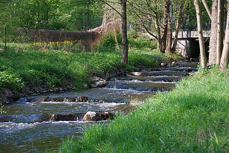 Fredersdorfer Mühlenfließ bei Fredersdorf21