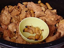 A fried sago larvae dish in Sarawak, Malaysia Fried sago larvae dish in Sarawak.jpg