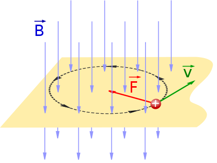 A positive charged particle moving in a circle under the influence of the Lorentz force F