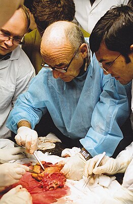 Г.Э. Фальковский проводит курс по анатомии сердца в Москве в мае 2010