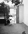 Gate, goat, cattle Fortepan 13591.jpg