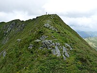 Grass mountain