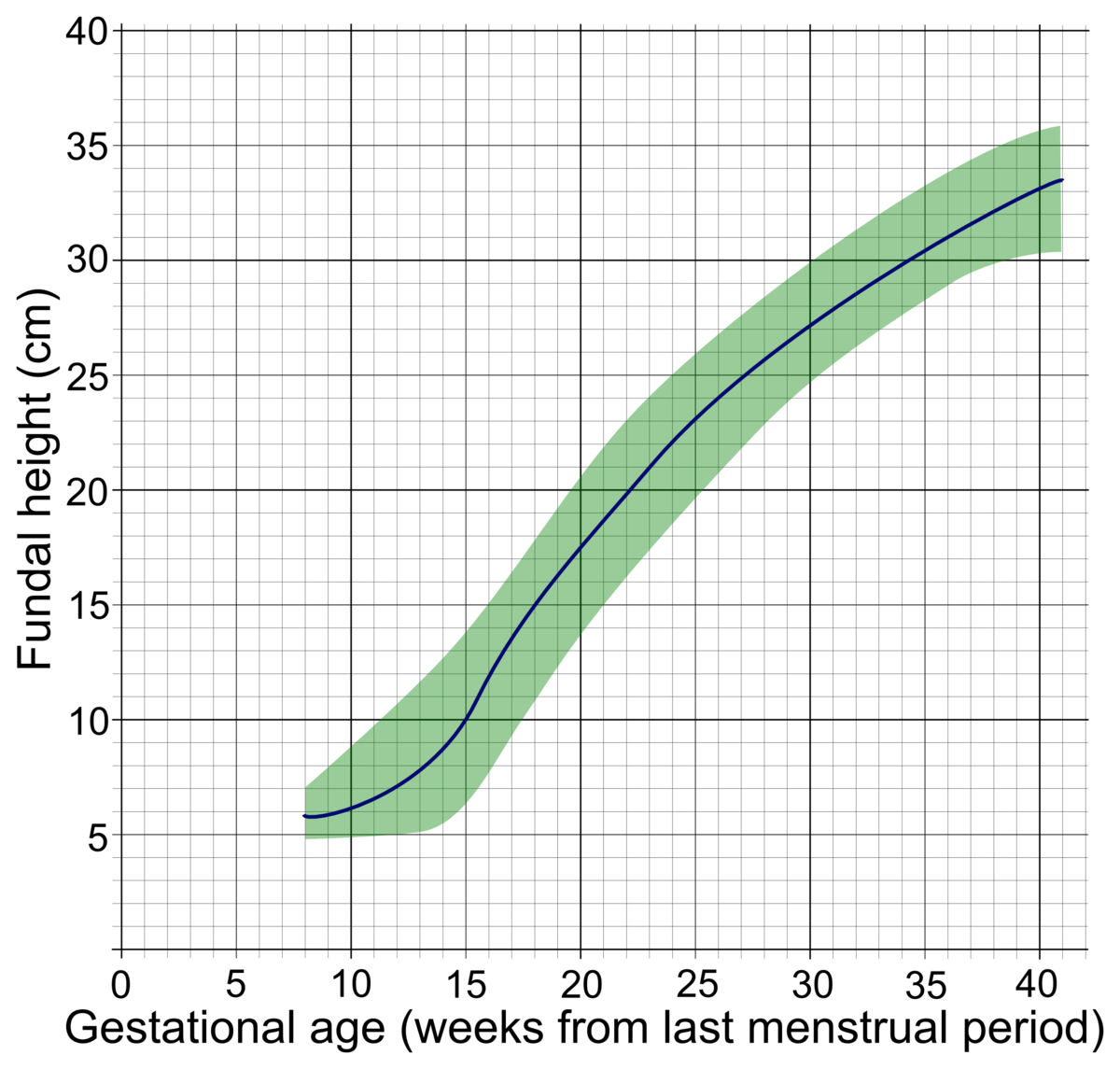 Fundus Chart