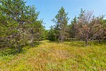 Thumbnail for File:Glenn Creek Barrens.jpg