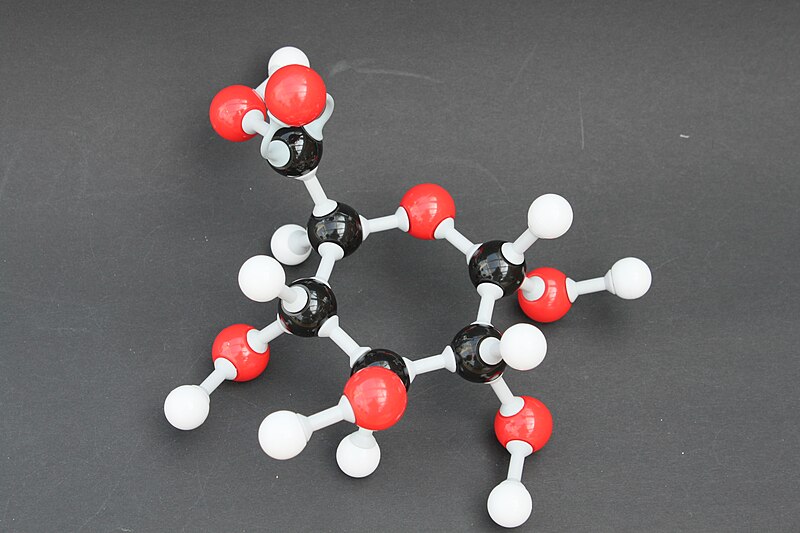 File:Glucuronsäure Molekülbaukasten 9332.JPG