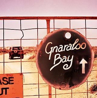 <span class="mw-page-title-main">Gnaraloo</span> Pastoral lease in Western Australia