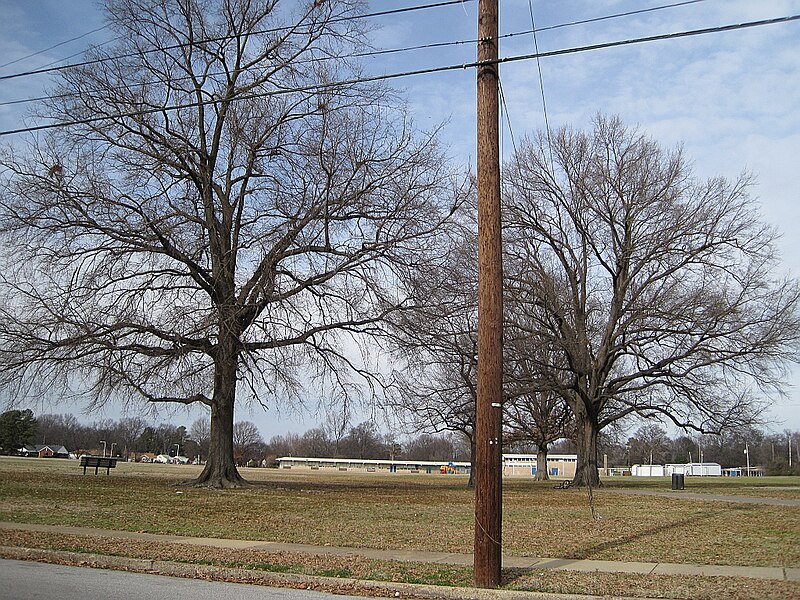 File:Godwin Park Cherry Rd Memphis TN 06.jpg