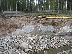 Goldhaltige Sedimente bei Ädelfors