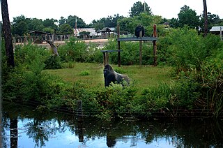 <span class="mw-page-title-main">Gulf Breeze Zoo</span> Zoo in Florida, USA