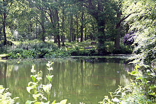 <span class="mw-page-title-main">Great Culverden Park</span>