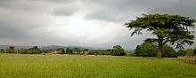 View of Great Thirkleby towards The White Horse at Kilburn Great Thirkleby.jpg