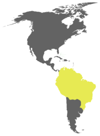 Distribución xeográfica averada del Cathartes melambrotus, indicando países onde s'atopa más que los llugares específicos onde habita. Basáu n'IUCN data.