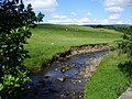 Greystoneley Brook - geograph.org.uk - 509552.jpg