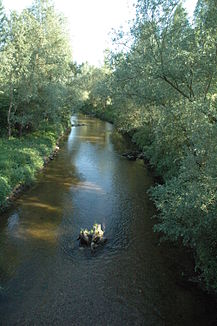 Le Rodl peu avant sa confluence avec le Danube à Ottensheim (vue dans le sens de l'écoulement)