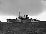 Thumbnail for HMS Spiraea (K08)