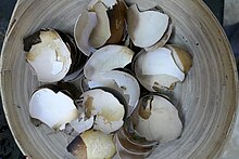 Broken egg shells