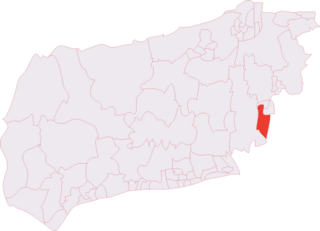 Hassocks & Victoria (electoral division)