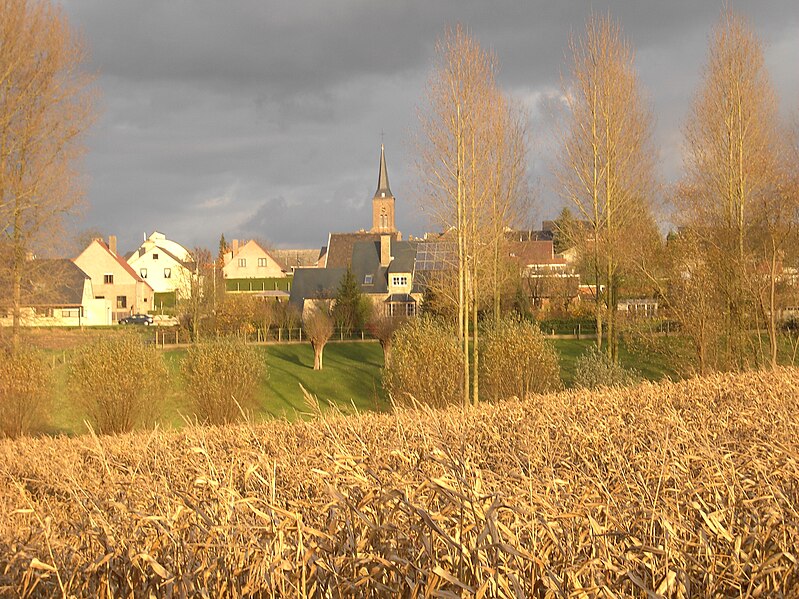 File:Heldergem - zonnige herfstdag 2008 - België.jpg