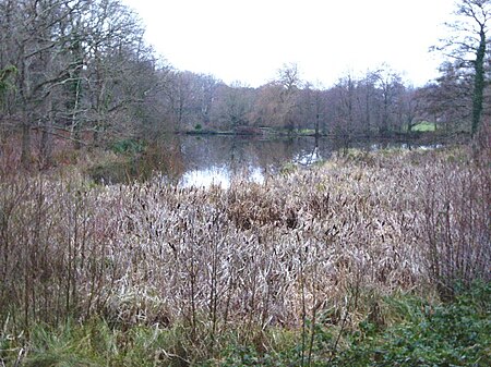 Herstmonceux Park (3)