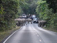 Provincia de Nakhon Nayok